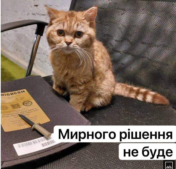 🇺🇦|_|_| |/| |\/| ⭕²³ tweet media