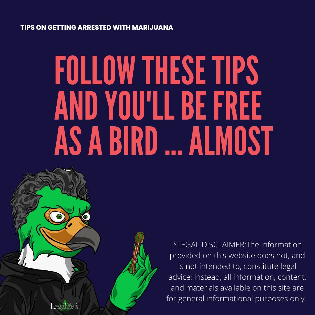 420_Falcons's tweet photo. 5. Fly Free! #420falcons https://t.co/AcajbW9v6m