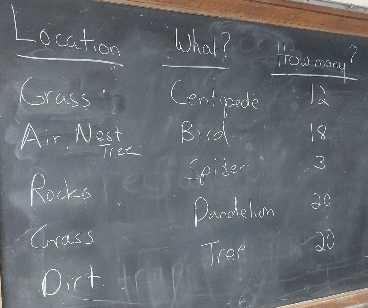 KathJensen's tweet photo. 2nd-grade Science Conference - two classes shared their observations from yesterday's explore of the @kendallcsd Elem School Ecosystem.  They made a brochure to advertise the interesting living and non-living features.  #B4SSavetheBees https://t.co/5Joksbyjht