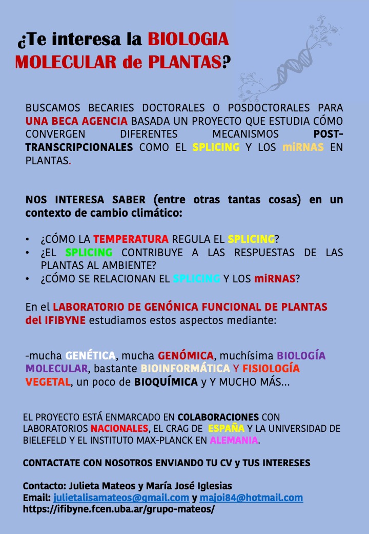 Julieta Mateos (@julietamateos5) on Twitter photo 