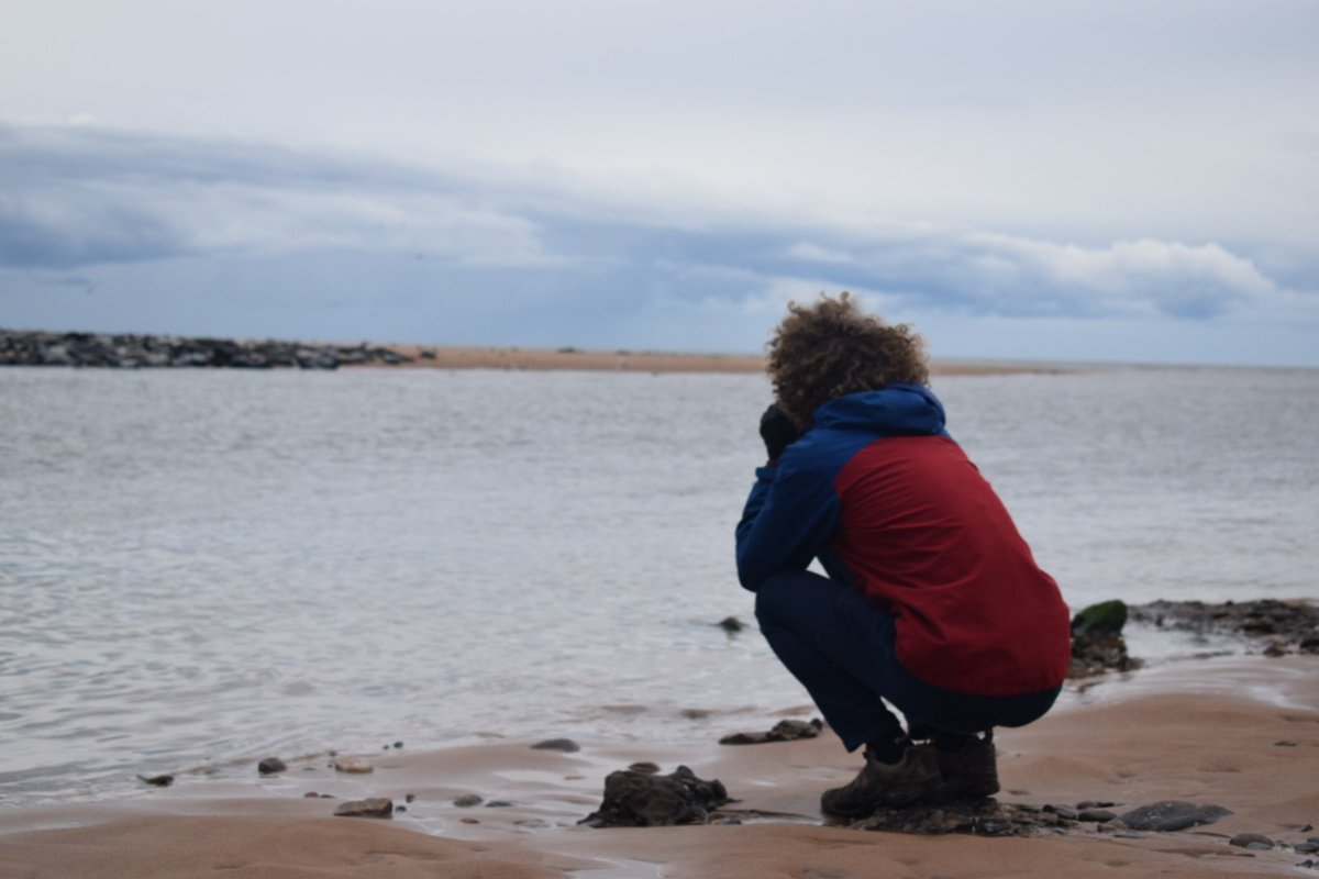HydroScholars's tweet photo. We got the chance to meet the seals at #Forvie Natural Reserve and contemplate the breeding colonies of #eiders and #terns, while surrounded by yellow fields of #gorse https://t.co/d6CwNZvr7U