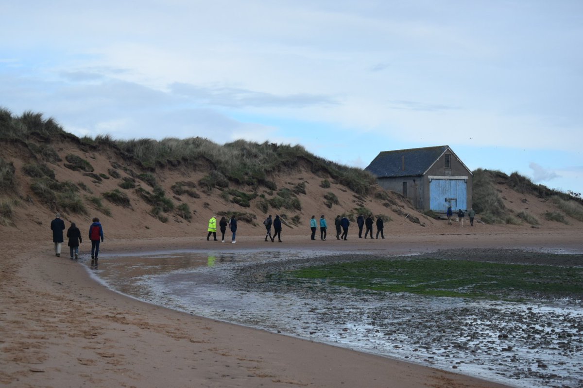 HydroScholars's tweet photo. We got the chance to meet the seals at #Forvie Natural Reserve and contemplate the breeding colonies of #eiders and #terns, while surrounded by yellow fields of #gorse https://t.co/d6CwNZvr7U
