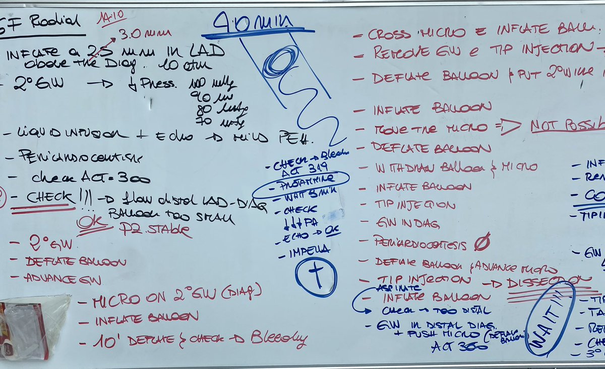 GraziellaPompei's tweet photo. When Doctor @GagnorAndrea teachs how to manage a #coronary #perforation this is the result
#TurinCTO & #CHIP
@terumobct
@RobertaCampan13 https://t.co/E2dTL4CAzu