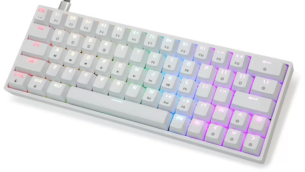 MeckeysHQ's tweet photo. 📢 Skloong keyboards pre-order is live 🫒

✅ SK61
✅ SK64 (ABS / PBT)
✅ SK68

🔥 Pre-order now to avail special pricing..

https://t.co/MIN2VmSmqS

#skyloong #meckeys #sk #mkindia #budget #mechanicalkeyboard https://t.co/mK6HSBW5pf