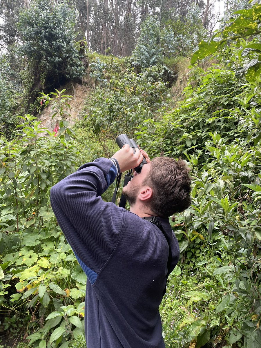 CerrosdeBogota's tweet photo. Nos dio la bienvenida un ave migratoria!! Contopus cooperi de la familia Atrapamoscas en la Cátedra Cerros Bogota, sobre Aves migratorias con Camila Gutiérrez. #CatedraCerrosBogoota #ReservaHorizontes https://t.co/d0Y0LcFyxw