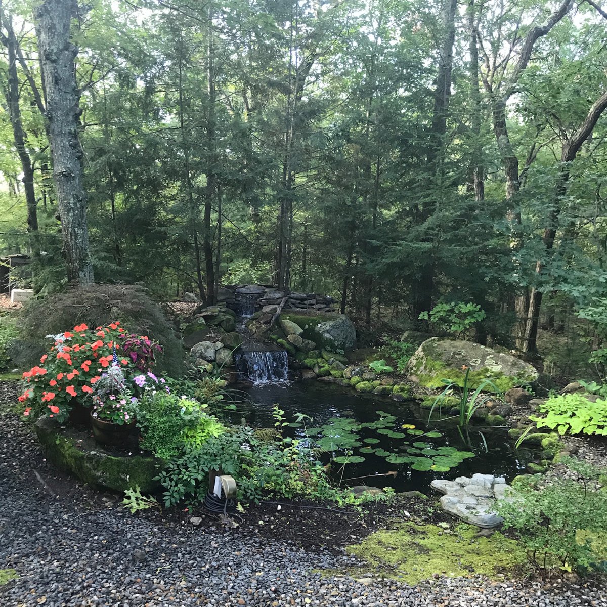 Tranquil Water Gardens 2 (@tranquilwg2) on Twitter photo Reconnect with nature by having Tranquil Water Gardens 2 build your brand-new backyard. Reconnect with nature by having Tranquil Water Gardens 2 build your brand-new backyard.