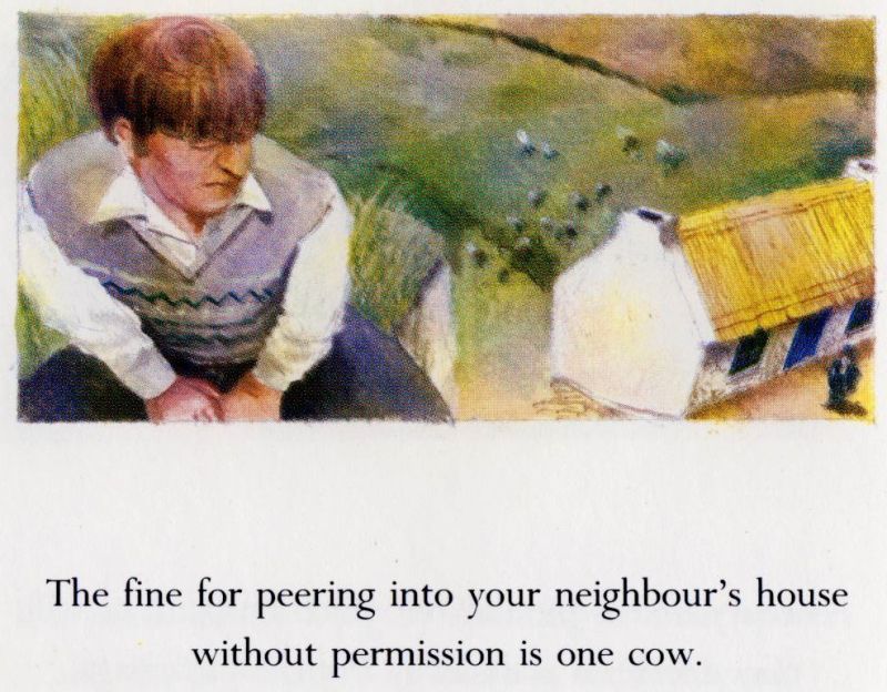 CygnusDPO's tweet photo. @TheOnion The fine for peering into your neighbour's house without permission is one cow - ancient Irish Brehon privacy law. https://t.co/tdtlxQeyyy