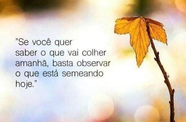alefe_limma's tweet photo. #reflexão https://t.co/1bl3mLZSr3