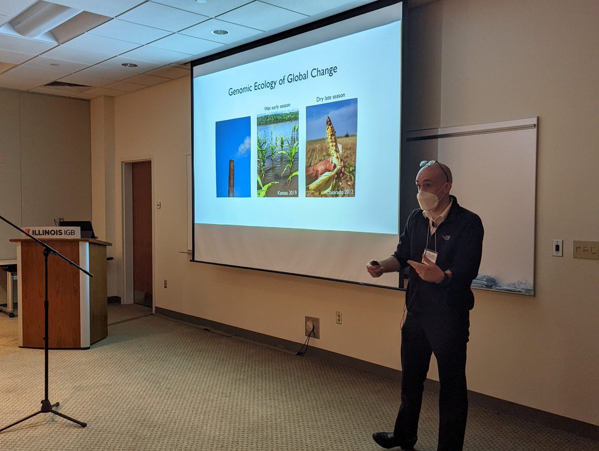 RIPEproject's tweet photo. #ICYMI: We had a blast seeing everyone’s research at the IGB Fellows Symposium yesterday! Thank you to all the RIPE participants for representing us so well! We hope you enjoyed networking with colleagues and sharing your work 🌿
#ILLINOISresearch #RIPEproject #photosynthesis https://t.co/IVYXsRTIUl