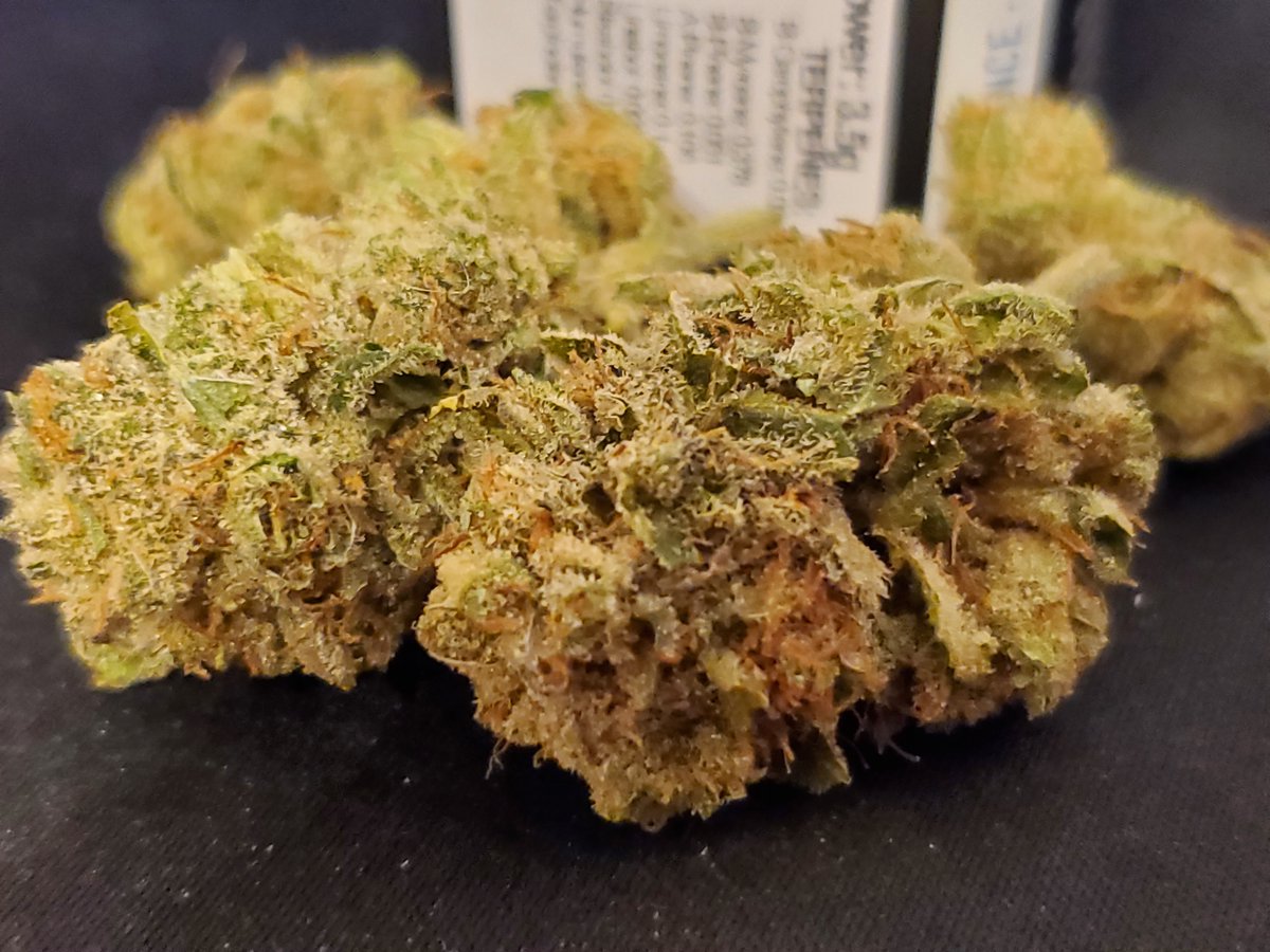 bud_ease_'s tweet photo. Blue Coffin eighth from @WholePlants. I'm a big fan of this one. The taste was great and what a great way to end the night; stuck! #pamedicalmarijuana #pammjpatients #pammj #pammjreviews #pammjpatient #mmjcommunity #mmjpatients #mmjlifestyle #medicalmarijuana https://t.co/uCvPuw7V8a