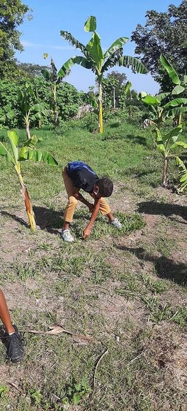 EnmaEsbu's tweet photo. El grupo 9n0 5 brindando su aporte al trabajo en las áreas básicas.
" El trabajo honrado forja al hombre " https://t.co/KFyv7PFNdN
