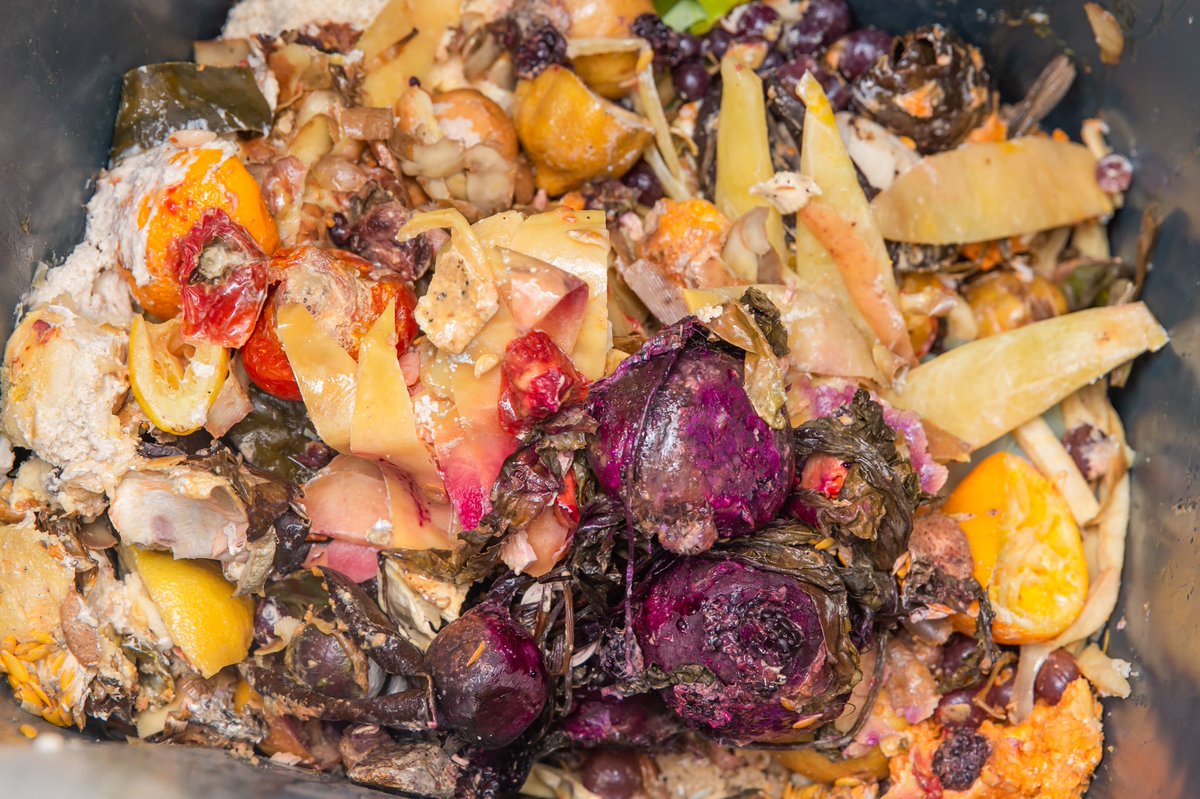 Muni_provi's tweet photo. SR. COMPOST♻️🪱🍌🍅
¡Cambio de día!🧐Solo por este fin de semana, el #SrCompost estará este sábado en #PlazaLasLilas, para recibir y #reciclar tus #residuos #orgánicos. ¡Te esperamos de 10:30 a 13:30hrs!🥳 https://t.co/dSE40iRmXi