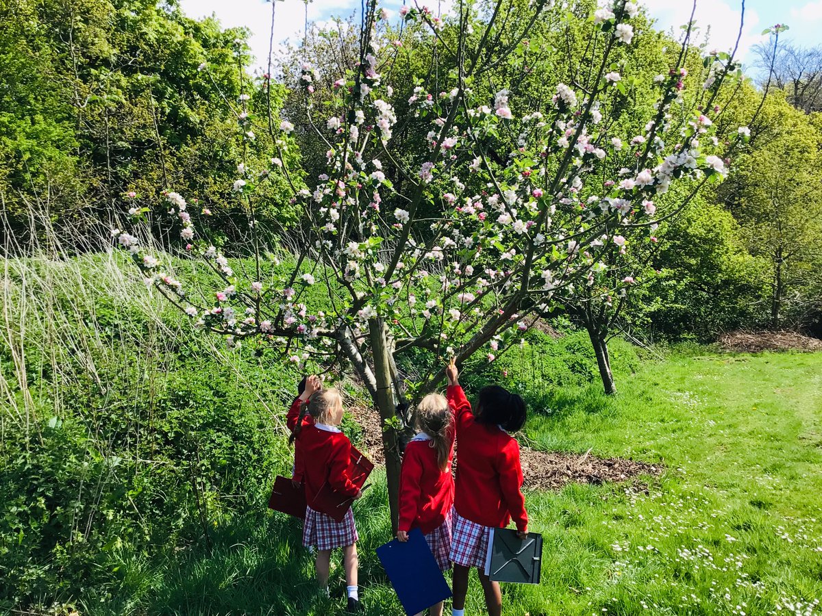 PipersPrePrep's tweet image. #PipersReception and #PipersYear1 discover why Spring is in the air! #PipersPrePrep