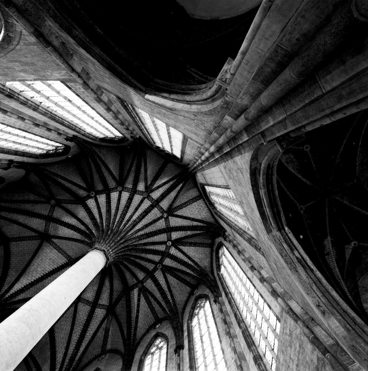 Cathedral / spaceship
#blackandwhitephotography #believeinfilm