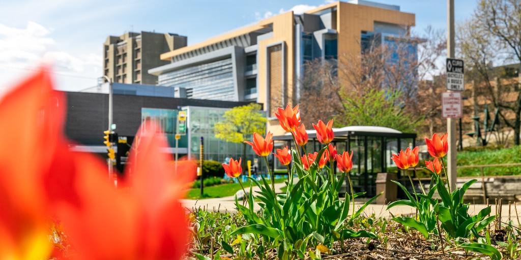 UWM's tweet photo. Spring is in the air, Panthers 🌼 You only have 4 more days of classes! https://t.co/OSibZKjKsl