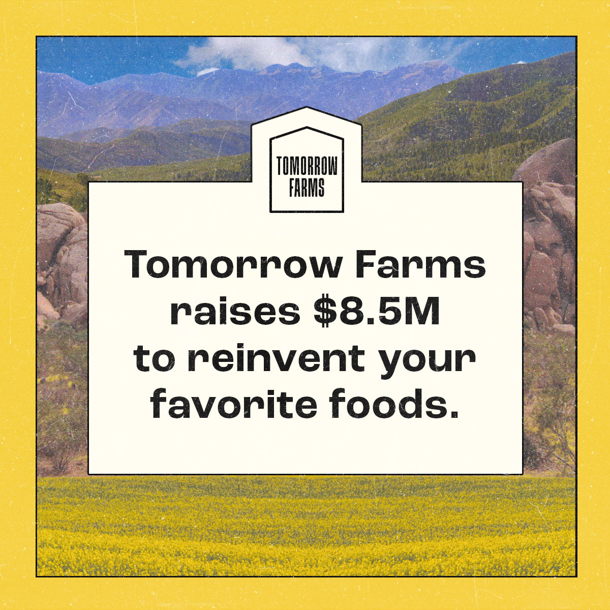 Tomorrow_Farms's tweet photo. We couldn't be more excited to announce our $8.5M Seed Round led by Lowercarbon Capital. If this is the first you're hearing of us, allow us to introduce ourselves! We're Tomorrow Farms, and we believe there's a better way to make our favorite foods. One that: (thread 1/2) https://t.co/jwtrMJBJQU