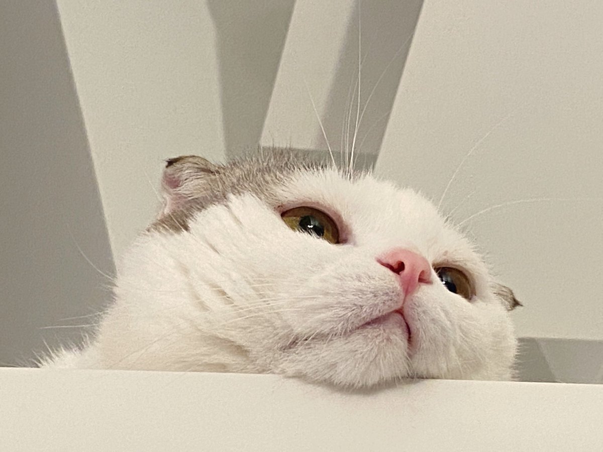 คัยๆ ก็ไม่รัก