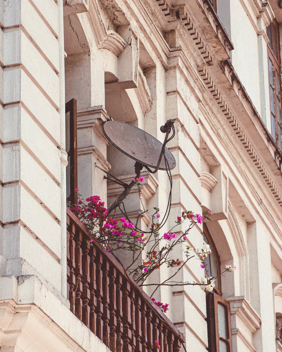 saifueyes's tweet image. Windows of beauty ❤️
.
#photography #Canon #pegion #Windows #mumbai #nftphotography #beauty