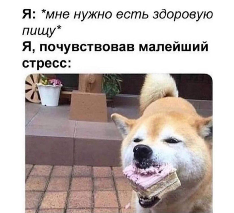 memesforwomen's tweet photo. https://t.co/ynknXUs6xU