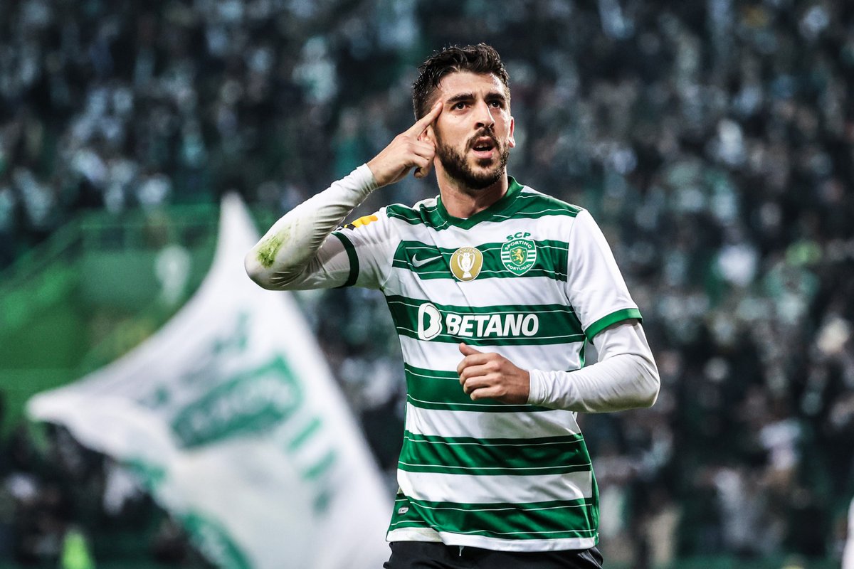 SportingCP's tweet photo. Throw🔙 ao último jogo frente ao Portimonense SC 📸
#OndeVaiUmVãoTodos #DiaDeSporting https://t.co/rC6loDH4wq