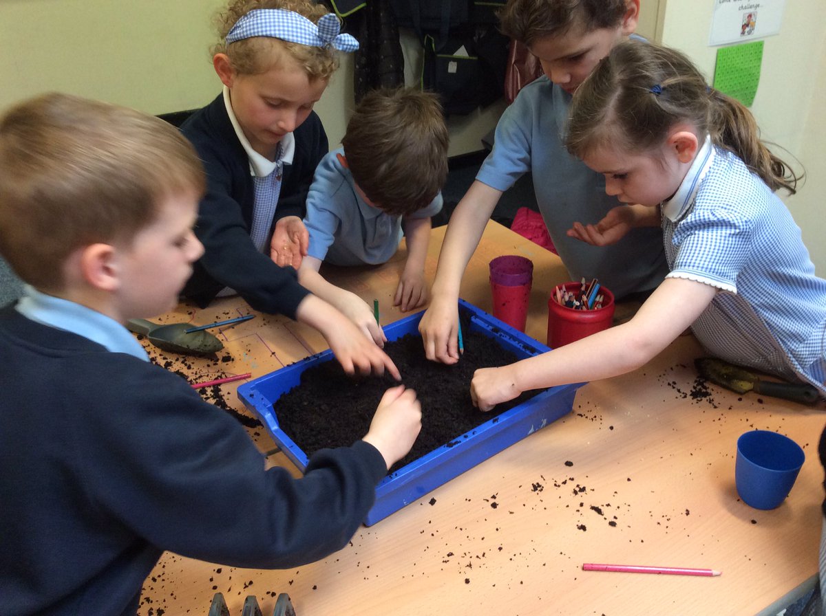 Class3KA_NR's tweet photo. We have been busy planting our mystery seeds today!#messytimes ๐๐บ๐ป๐ฑ๐บ https://t.co/7M01aaS3rP