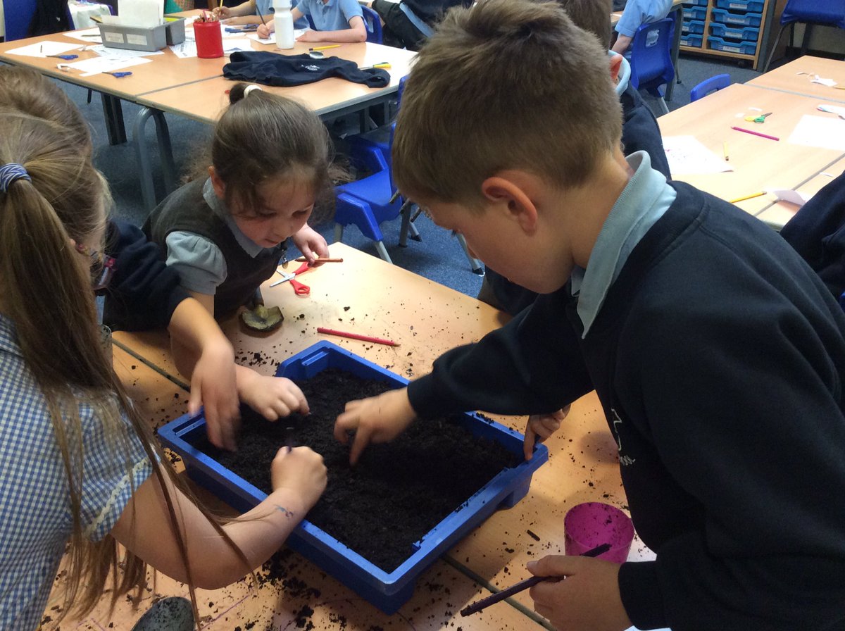 Class3KA_NR's tweet photo. We have been busy planting our mystery seeds today!#messytimes ๐๐บ๐ป๐ฑ๐บ https://t.co/7M01aaS3rP