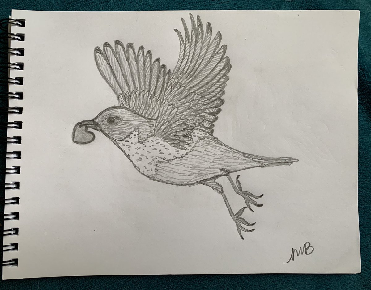 Luvbuzz_Art's tweet photo. Just a few quick little pencil sketches from this week. Happy Friday ☕️☕️☕️
☕️https://t.co/gFmVdqTply
#fridaymorning #FridayVibes #Pencildrawing #sketchbook #art #artistsontwitter #originalart #birds #luvbuzzart #HappyFriday https://t.co/ZmTbOrpajH