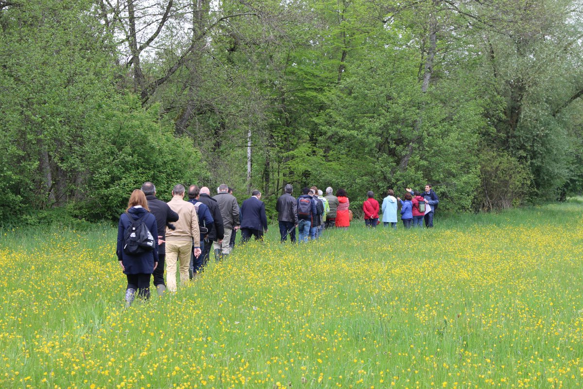 afutsudalsace's tweet photo. [Suite 30 ans de l’AURM] Retour en photo de cette première rencontre au bord de l’eau dans le #Sundgau. Merci à l’Epage de la Largue et à la Maison de la Nature du Sundgau pour leur accueil et leurs explications ! @MulhouseAgglo @JeanROTTNER https://t.co/PbcesYQeqX