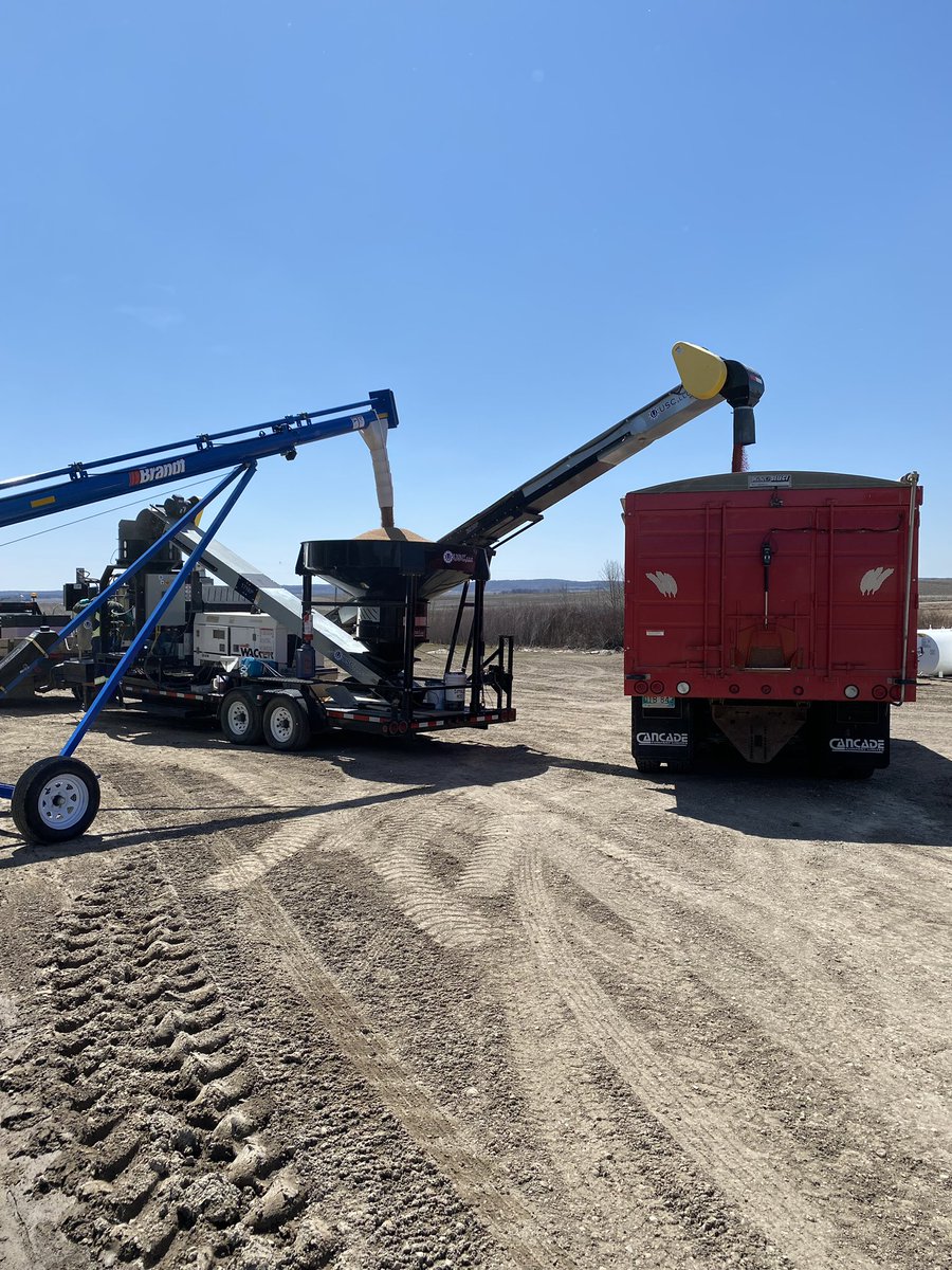 ShurGroFarmServ's tweet photo. Seed treating has started at our #Killarney location! This wheat will be off to a great start after getting a full dose of #CruiserVibranceQuattro from @syngentacanada 🌱 https://t.co/ZkFgWjXnDE