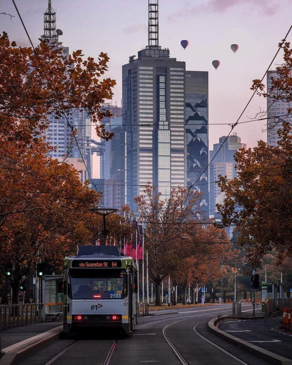 ZohoorRahimi's tweet photo. Melbourne_Australia

#Melbourne 
#australianGP 
#Australian 
#AustralianGreens 
#Australia https://t.co/hipIIFtLCb