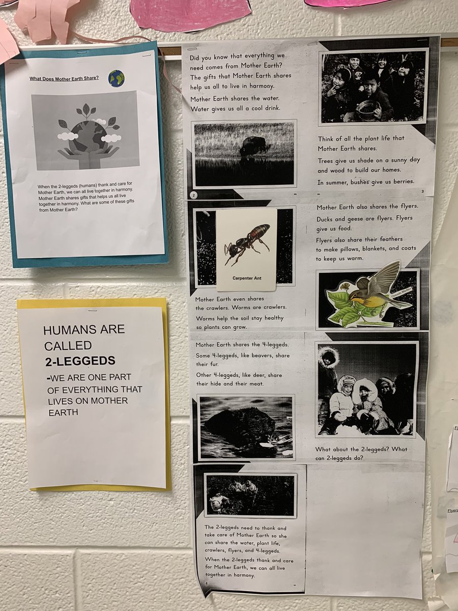 FairglenJrPS's tweet photo. Ms. Cutting’s Gr. 1/2 students are learning about Indigenous perspectives and the many types of ‘beings’.  All beings are equal to each other including human, and no one being is more important than another as we all fulfill an important role in keeping Mother Earth in balance. https://t.co/CU8ft3daq1