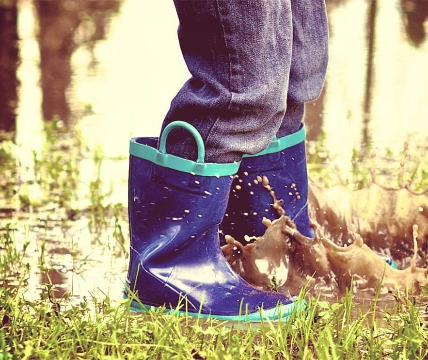 Maeoe_MI's tweet photo. Head outside for some fresh air! 🌱🌧🌍🍄🌼 Tell us why you joined MAEOE. 
#groweeinmi #outdoors #michigan #environmentaled #ee https://t.co/mRkkXwcFpK