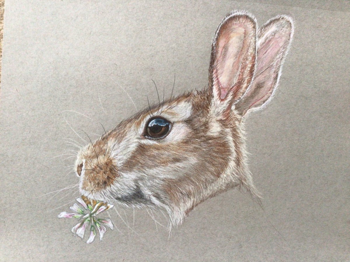 mandbrown's tweet image. I haven’t drawn for over a year because of health issues and struggled to put pencil to paper again but I am glad I did, mental health takes so much from you, it is a constant fight.  #MentalHealthMatters #artistsontwitter