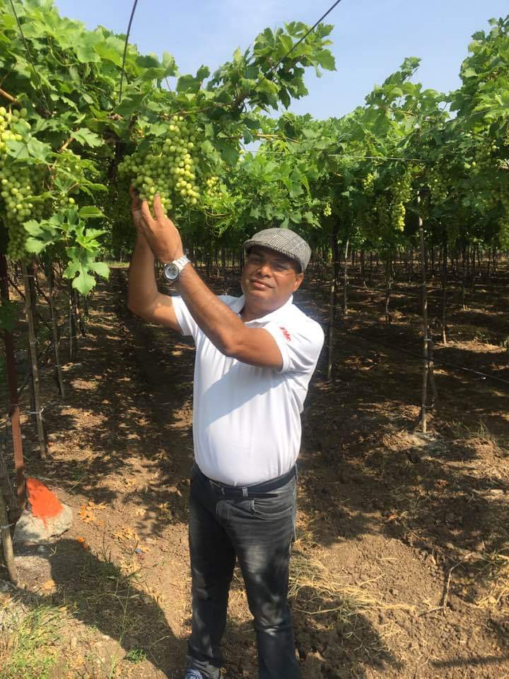 mritunjay1978's tweet photo. Sometimes brand name is justified because results match the name . #Miracle one of the leading PGR brands in India ..Was glad to see the Miracle on grapes in last the season #FMCPHB #FMCIndia https://t.co/sqcUVWjMU9