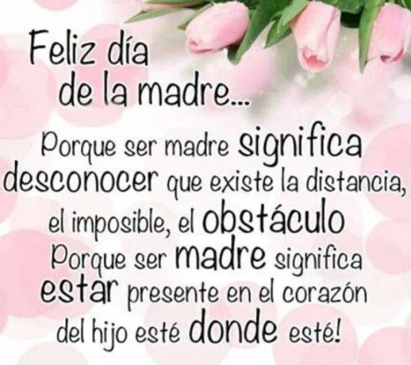 DainetPere's tweet photo. MADRE: Cinco letras que resumen Amor https://t.co/QseOAbxxXr https://t.co/ZXi8bgWZ3j