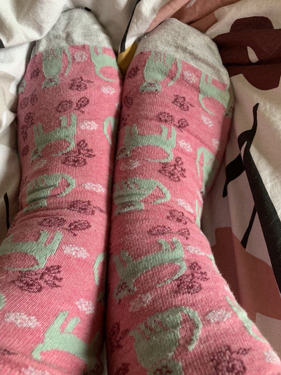 Cat socks today. #socksforswailes