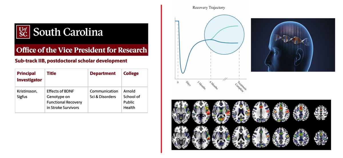 SigfusHelgi's tweet photo. I'm very excited to share that I received a seed grant from @USCResearch to dig deeper into potential genetic determinants of therapy success in #Aphasia. Stay tuned! 

@JuliusThor_VPR @UofSC_COMD @USCArnoldSchool https://t.co/kFDLCEgXs0