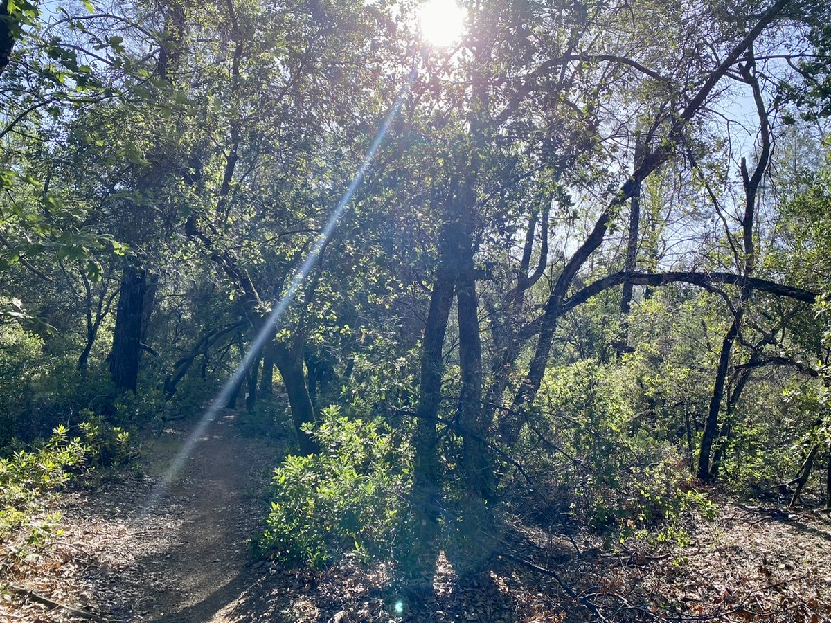 Call of Duty Tracker tweet media