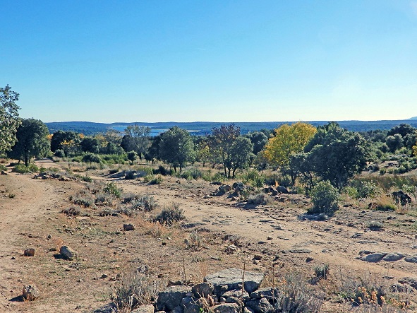 AlymarEdiciones's tweet image. 📸 Trayecto de la Cañada paralelo al arroyo del Tercio.

Más imágenes de #DeslindesEscurialenses 📖 en 👉 bit.ly/3LOYhtE

#Madrid #sierranortedemadrid #guadarrama #picoftheday #photo #photooftheday #nature #SierradeGuadarrama #naturaleza #natural #geography