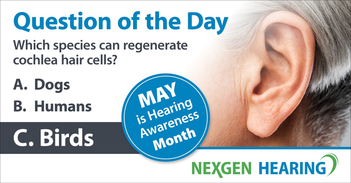 Earlier this week we asked the "Question of the Day" - Which species can regenerate cochlea hair cells? The answer is: C. Birds. Did you guess correctly?