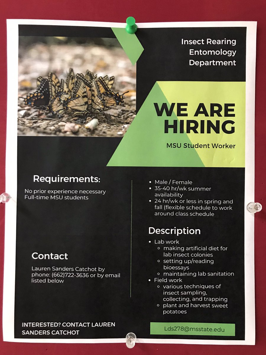 ahn_seungjoon's tweet photo. Highly recommendable to the students staying in Starkville this summer. Insect rearing is one of good entry points to the study of insect. https://t.co/pCT1ew5fN8