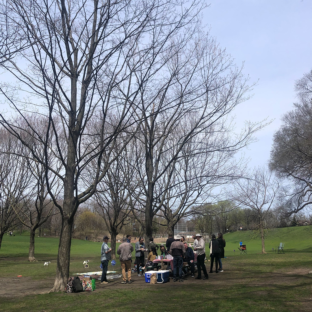 EnvironicsMR's tweet photo. This week our team got together for a series of events to celebrate Spring and the arrival of some much-needed sun. It kicked off Wednesday afternoon with a brewery and cider hop and was followed by a good ol’fashioned picnic in the park on Thursday #environicsresearch https://t.co/WyB0J1uluf
