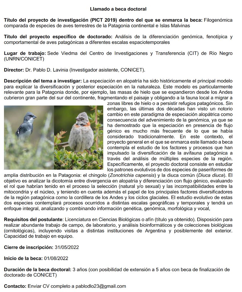 PabloLavinia's tweet image. Búsqueda de becario/a doctoral para beca asociada a PICT 2019 en ejecución. Biología evolutiva de aves patagónicas. Se agradece difusión!