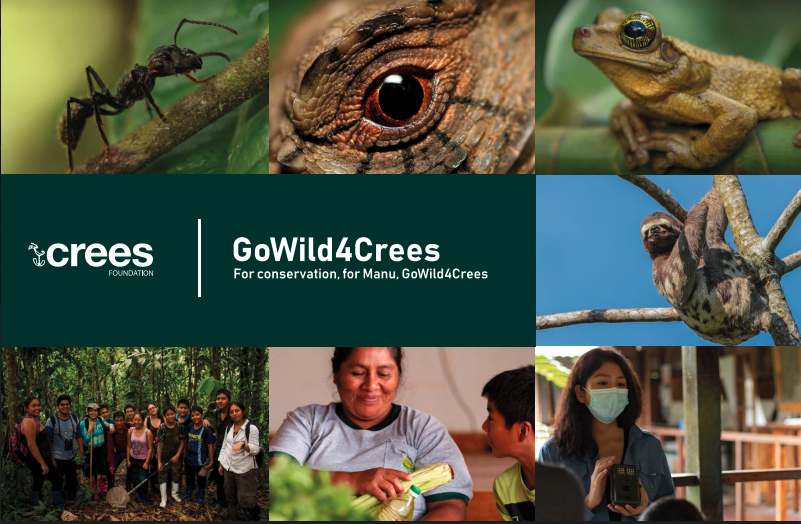 Want to start May helping change the future of the Amazon? Check out gowild4crees.hubbub.net