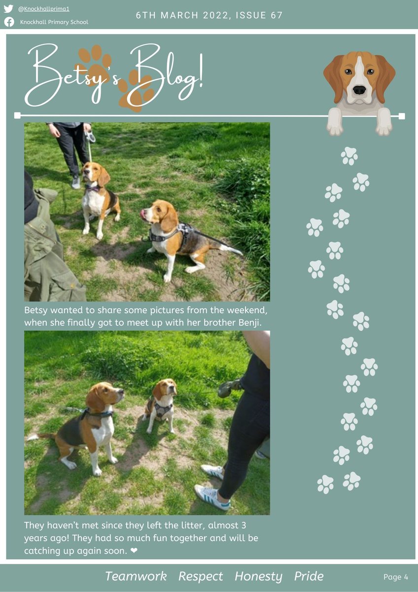 KnockhallPrima1's tweet photo. Weekly newsletter 6th March 2022. 
Wishing you all a lovely sunny weekend.☀️
Pages 1-4 https://t.co/PUFltDc8ob