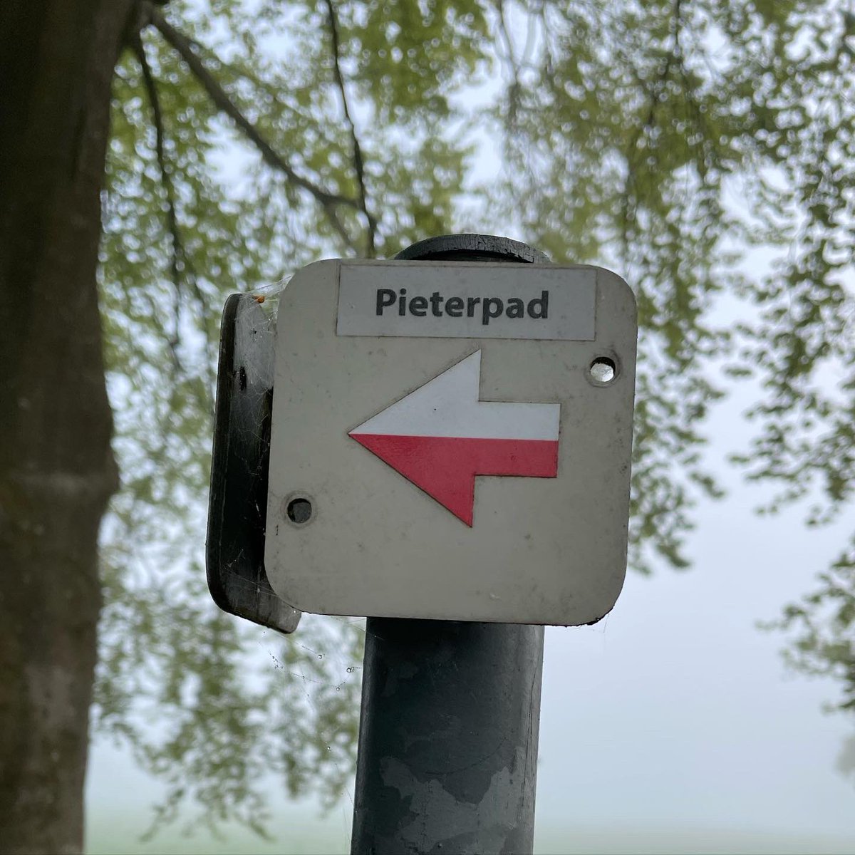 HermansPeter's tweet photo. Vandaag #pieterpad gewandeld. @St_Pieterpad https://t.co/RspMN1gVVn