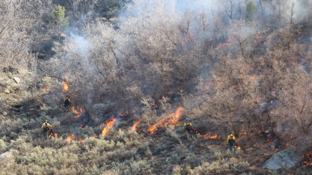 UtahWildfire's tweet photo. #usfsFNF and #FFSL completed 75 acres of hand ignitions on the #OldWomanSouthRx on 5/5/22. Helitorch ignitions will take place 5/6-7/22, on approximately 700-1200 acres. To-date, an estimated 4,200 acres have been completed on the project. #UtahSharedStewardship #UtahWRI https://t.co/TtO4cHiSKT