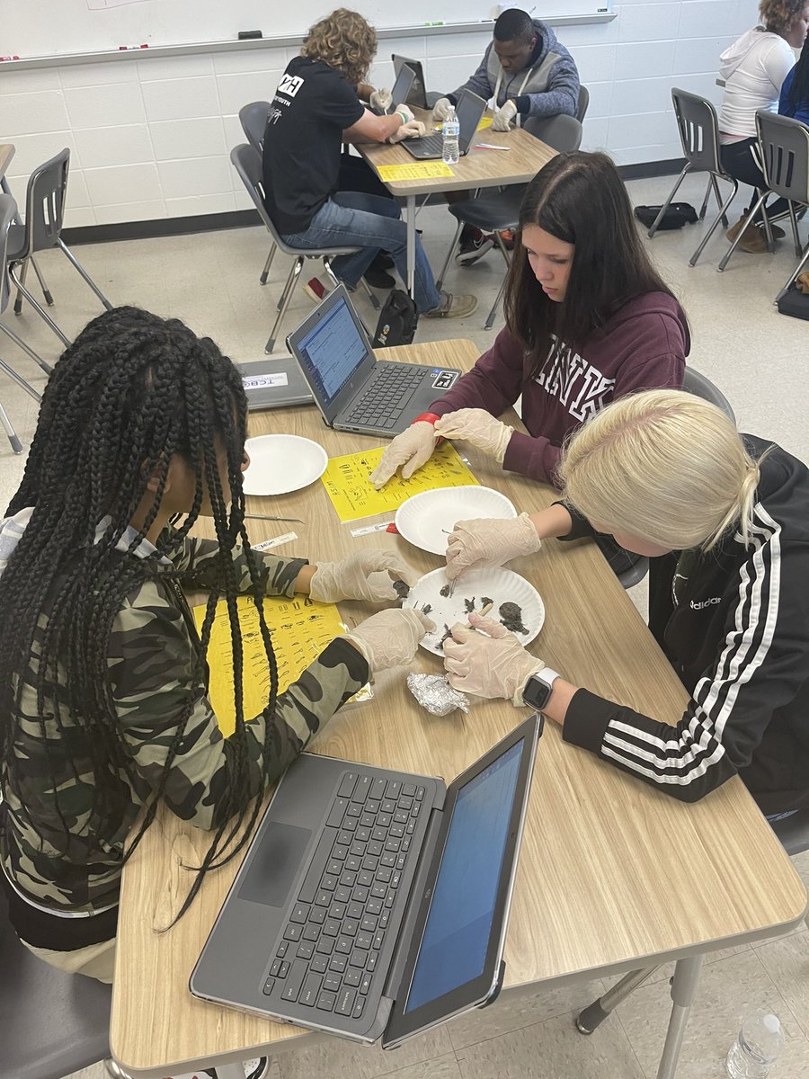 AmberHi18038779's tweet photo. Biology students dissecting owl pellets. #exceptional #7thPeriod #Freshmen @GraysonLawrence @Winterboro_High https://t.co/fFrYhOq7Wp