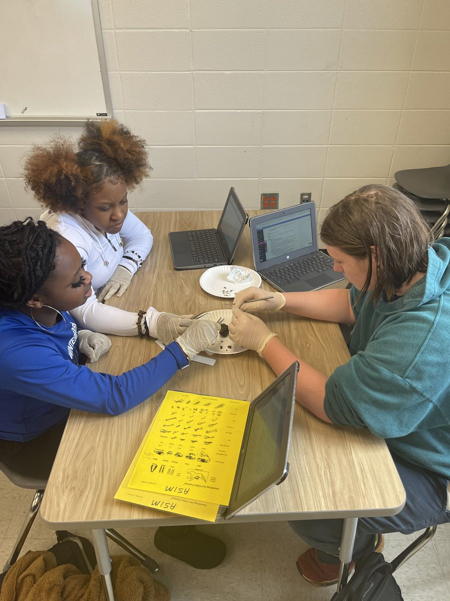 AmberHi18038779's tweet photo. Biology students dissecting owl pellets. #exceptional #7thPeriod #Freshmen @GraysonLawrence @Winterboro_High https://t.co/fFrYhOq7Wp