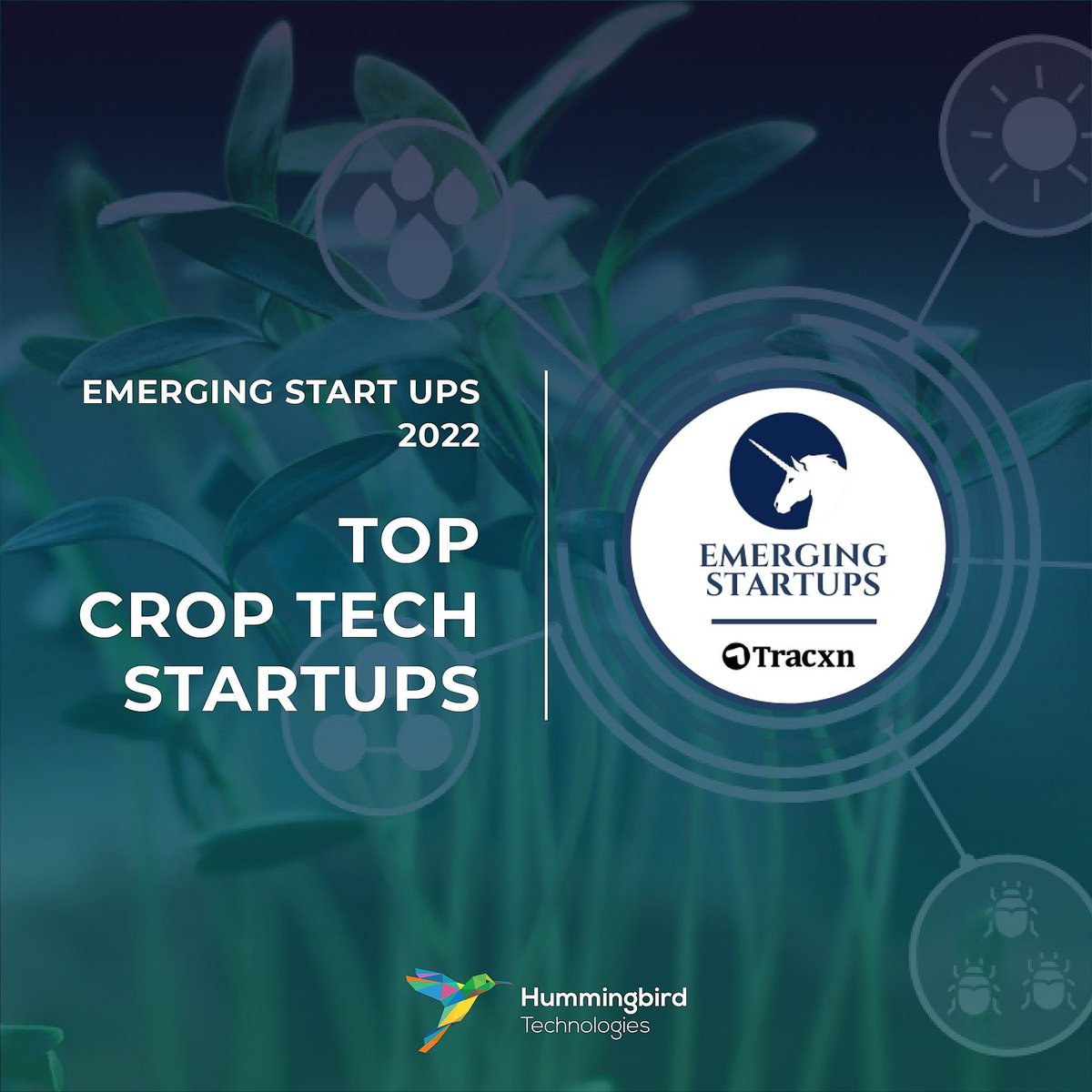 TechHummingbird's tweet image. Hummingbird Technologies are delighted to be featured in the Emerging Startups of Crop Tech showcased as a Minicorn - a high growth early stage venture (Series A+)
Read more👉 tracxn.com/d/emerging-sta…
#CropTech #RegenerativeAgriculture #RegenAg #Sustainability